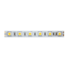 Led Strip 5M 14,4W/M 24V Dc Ip33 Blue
