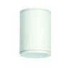 E27 Par30  Round Ceiling Luminaire 230V Ac Matt White Ip65 Max.35W