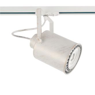 Track Spot Par30 3C White Gold Brushed No13